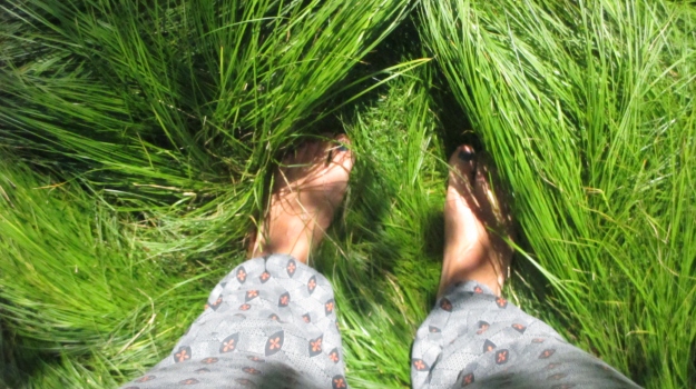 i miei piedi sull'"erba lunga lunga" che adoro #ClaudiaNanni